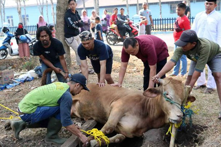 Idul Adha dan Pola Pikir Kaya: Mengapa Berkurban Itu Cerminan Cara Berpikir Anda